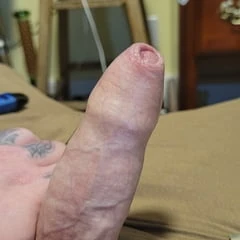 Uncut veiny cock 