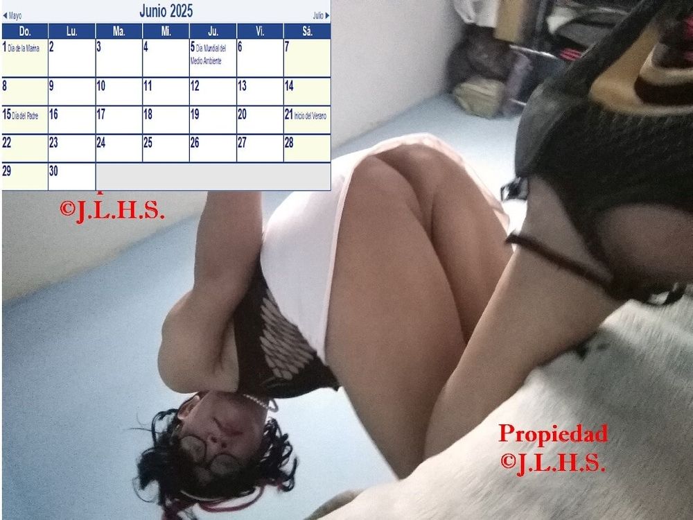 My Calendar 2025 #7