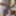Day Two and Three of My Masturbation Vacation #5