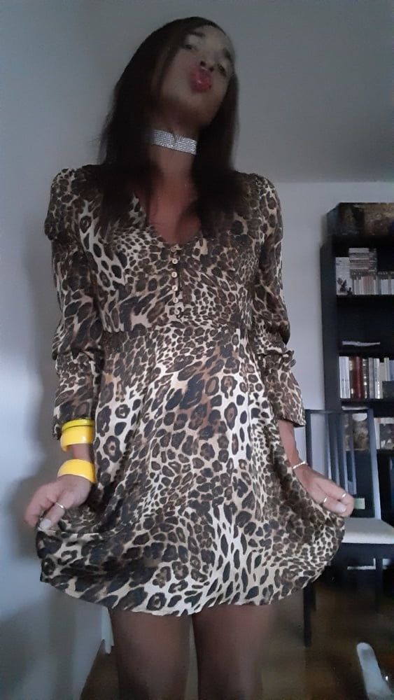 Sissy Tygra in leopard dress on 2019 octobre. #26