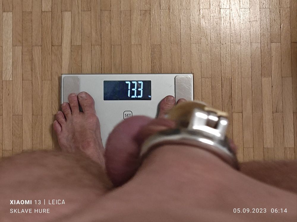 Weighing, Cagecheck, stuff with plug on 09/05/2023 #17