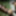 Teen Girl Strap-on pegging Teen Guy outdoors, femdom, BDSM #26