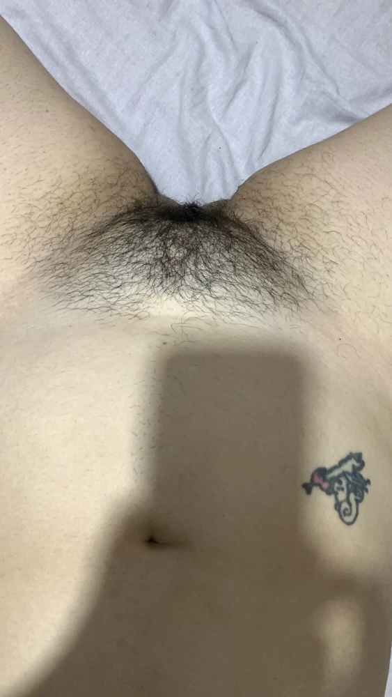 Hairy Pussy  #3