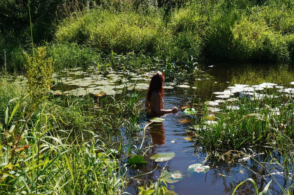 in a weedy pond #2