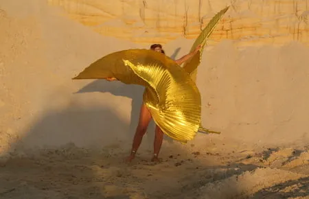 with golden wings on setting sun         