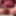 Happy Valentines Day 2 ( New Video) 2025
