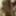 BI GIRLFRIEND fucked with STRAP-ON