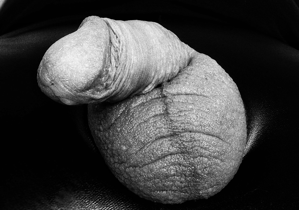 Artistic pictures #3