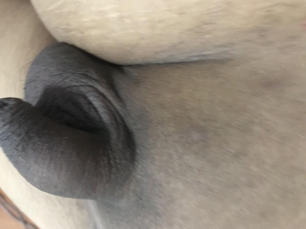 Amateur chubby small dick play anal  #10