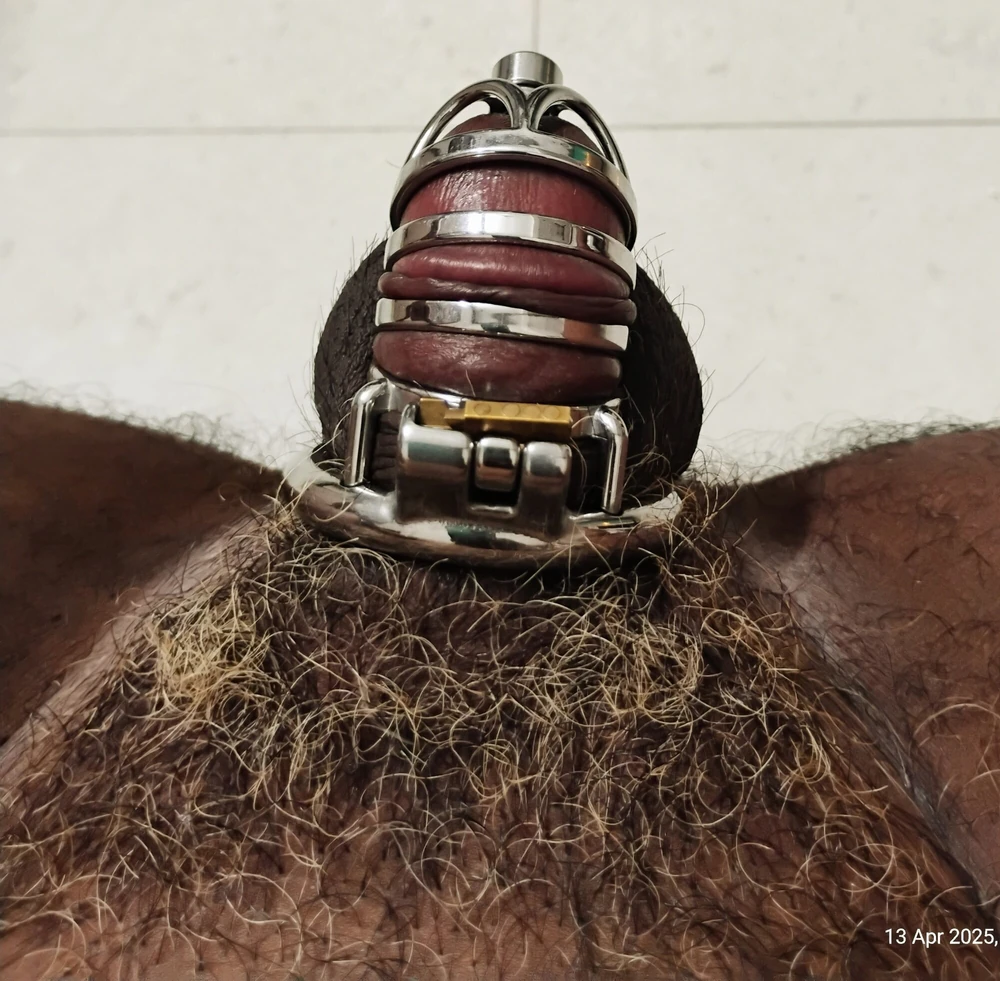 Chastity cage with urethral tube and anal plug 