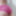 Panties