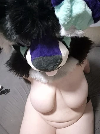Murrsuiter em Heat