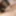 Lina fucks wild wife Lavender