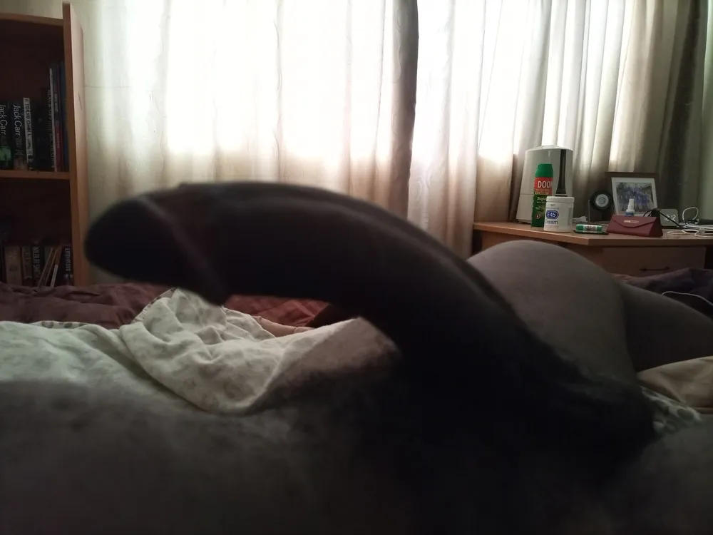 My cock #3