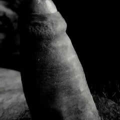 My cock