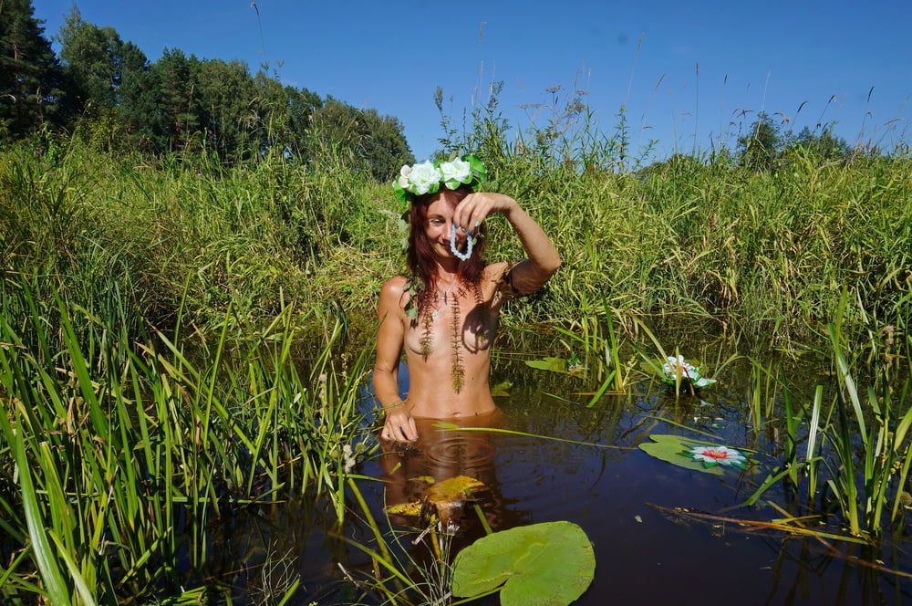 In pond with waterflowers #27