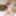 TGIRLS PORN: Emily Adaire and Lil&#039; Dips