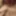 Transgender On HRT Naked