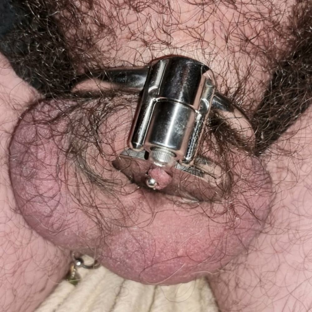 MY NEW CHASTITY CAGE #15