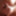 Cock closeup twitching and cumming compilation stills #10