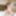 TGIRLS PORN: Emily Adaire and Lil&#039; Dips