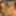 NORDICORGY-MORE: https://xhamster.com/users/radicalpictures #3