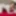 TGIRLS.XXX: Eyeful of Autumn Rain