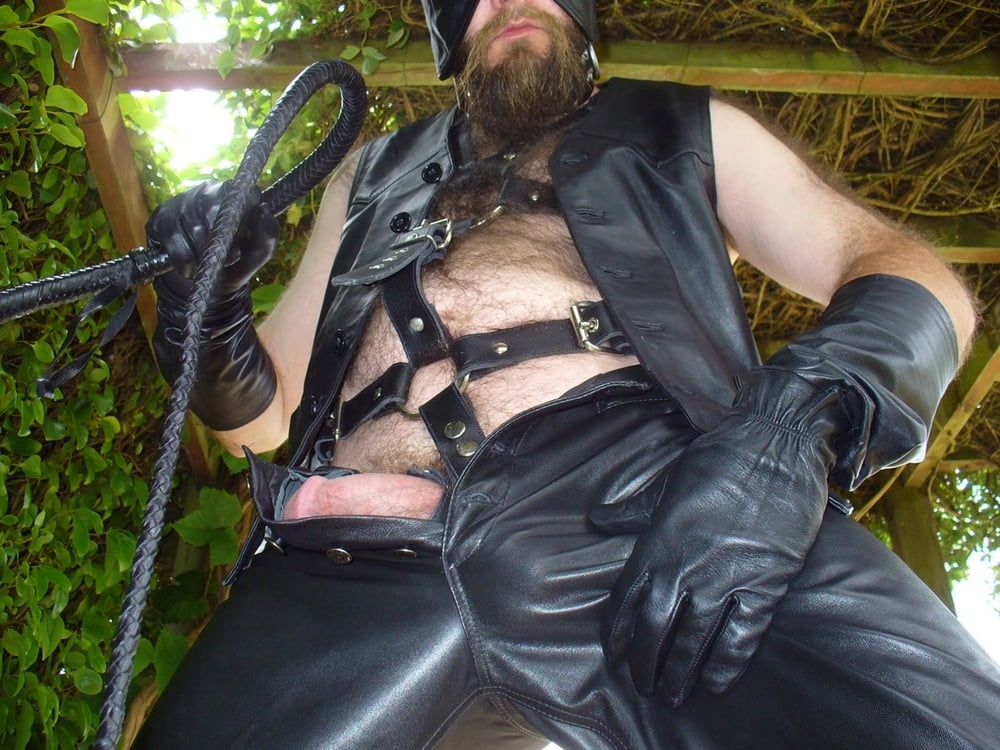 Leather Master outdoors in harness with whip #53