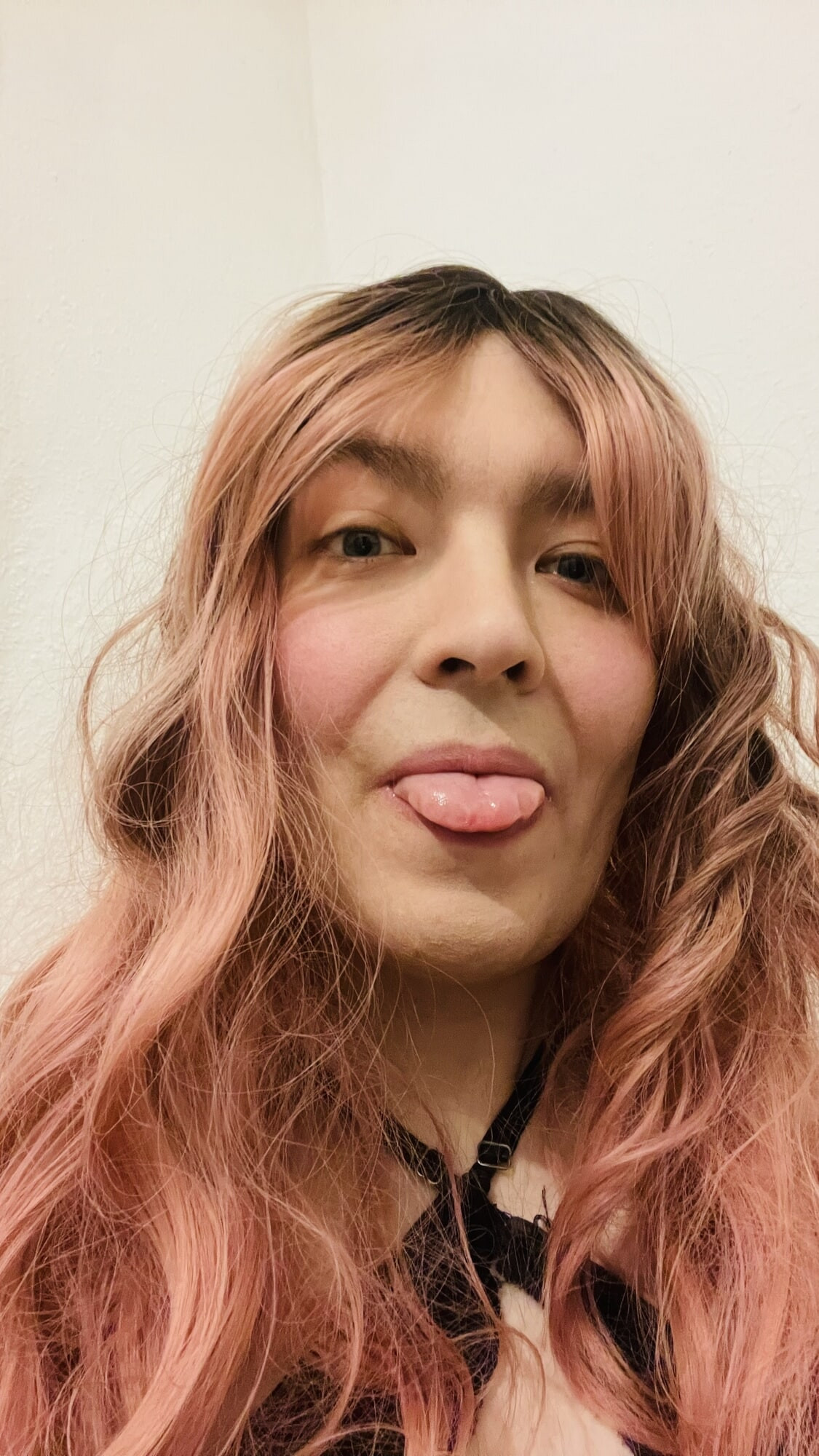 Rosa Sexy #12