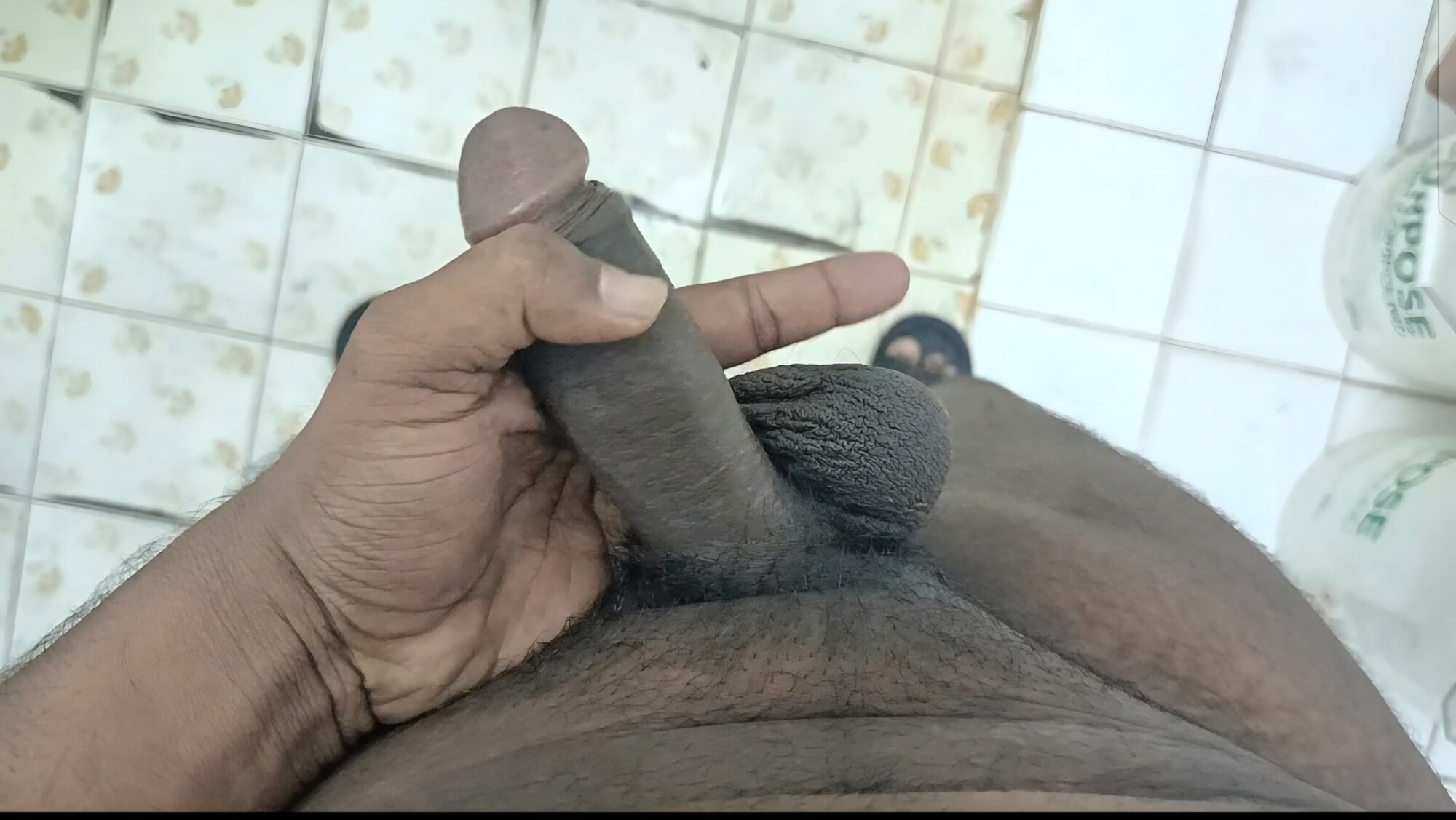 Cock