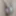 Mai 16th, 2024. Daily duty of the naked slave #5