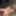 masturbation 