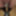 Mandatory weighing cagecheck plugcheck January 09, 2024 #10