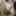 Shino Aoi :: Sexual Dream Comes True 2019 - CARIBBEANCOM #16