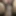 Fucking