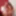 Kelsi Monroe and AJ Applegate Sexy Photo Shoot #4