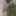 All nude in the woods (may 2020)