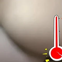 Sissy Bottom