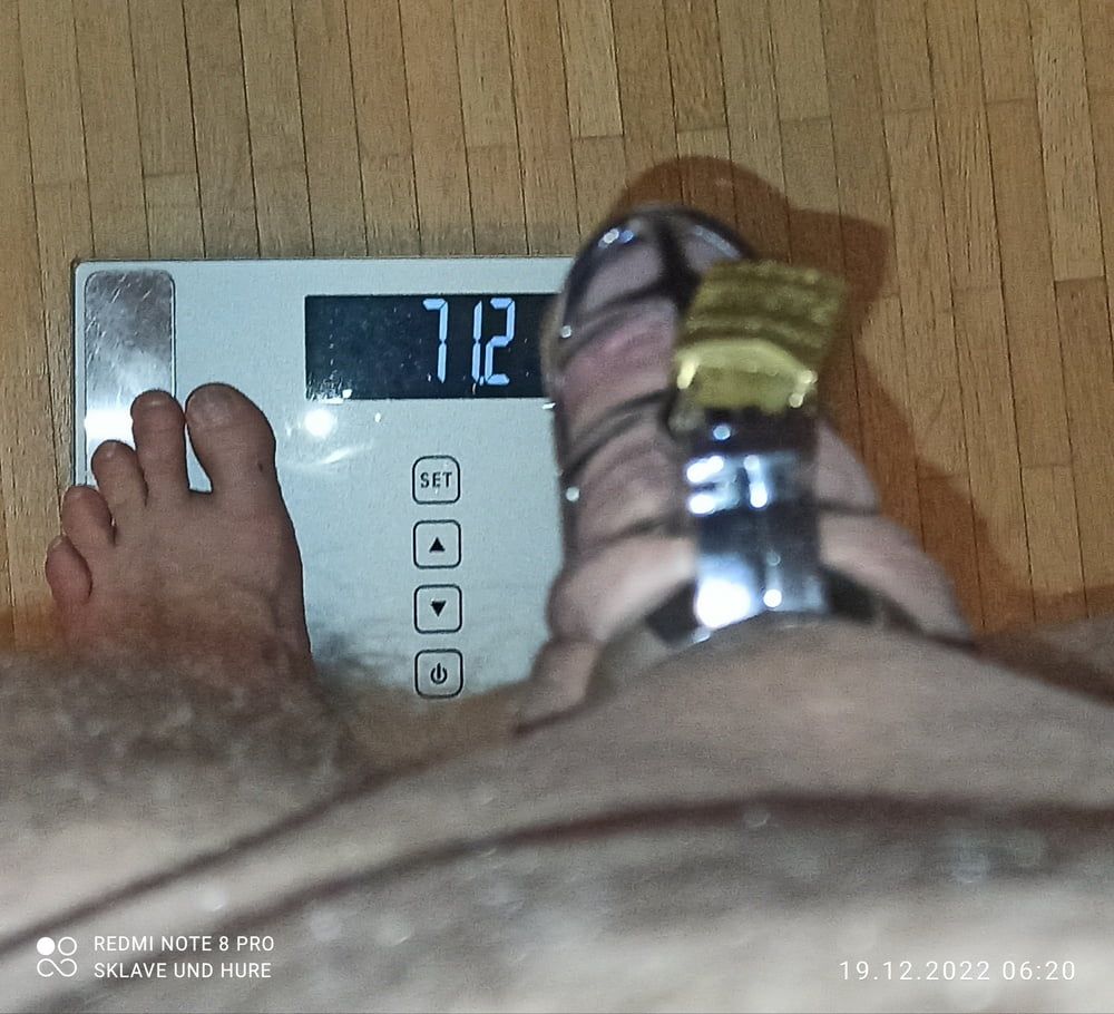 19.12.2022 mandatory weighing and cagecheck  #6