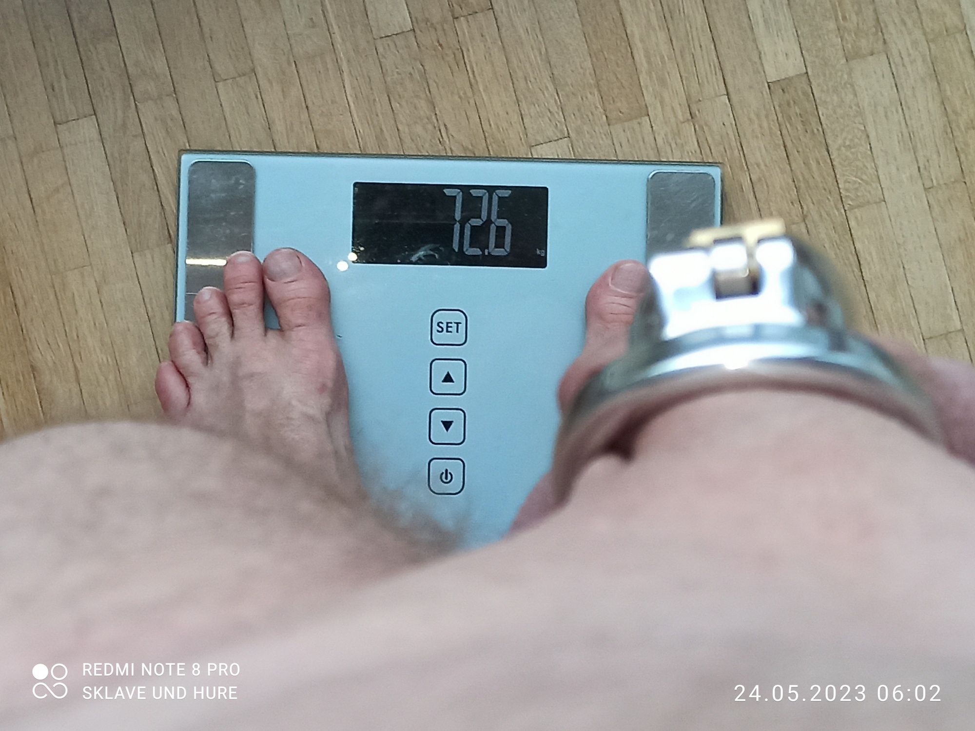 weighing, cagecheck and inserting plug 24.05.2023 #18