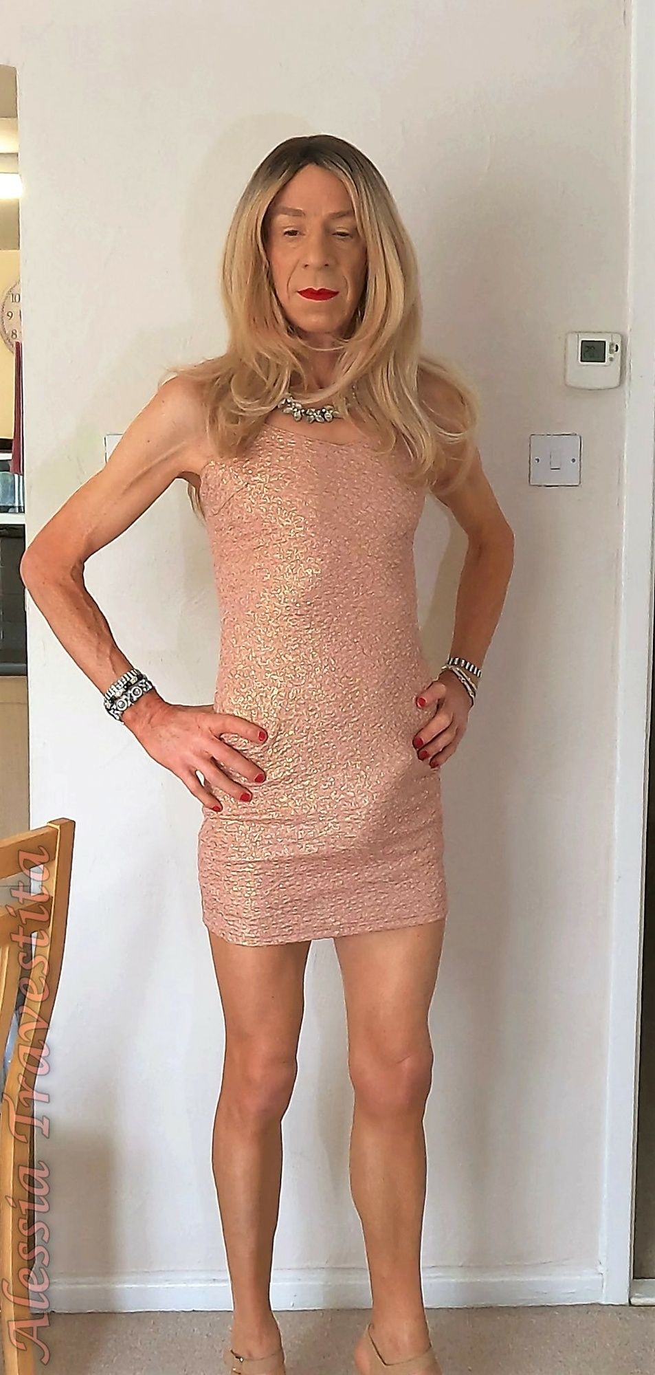 83 Alessia Travestita in Fawn Glitter Dress #4