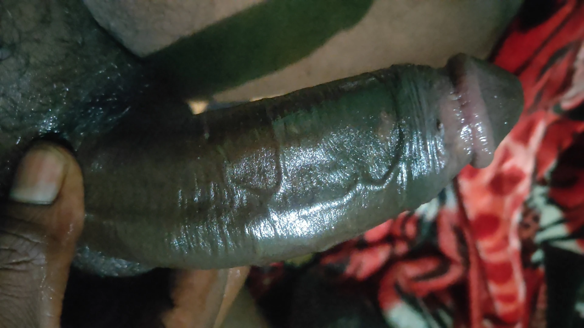 Indian black cock #15