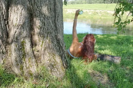 mermaid under the tree         