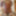 Amateur crossdresser Kellycd2022 sexy milf in white lace #47