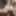 Out of control jockslut masturbator