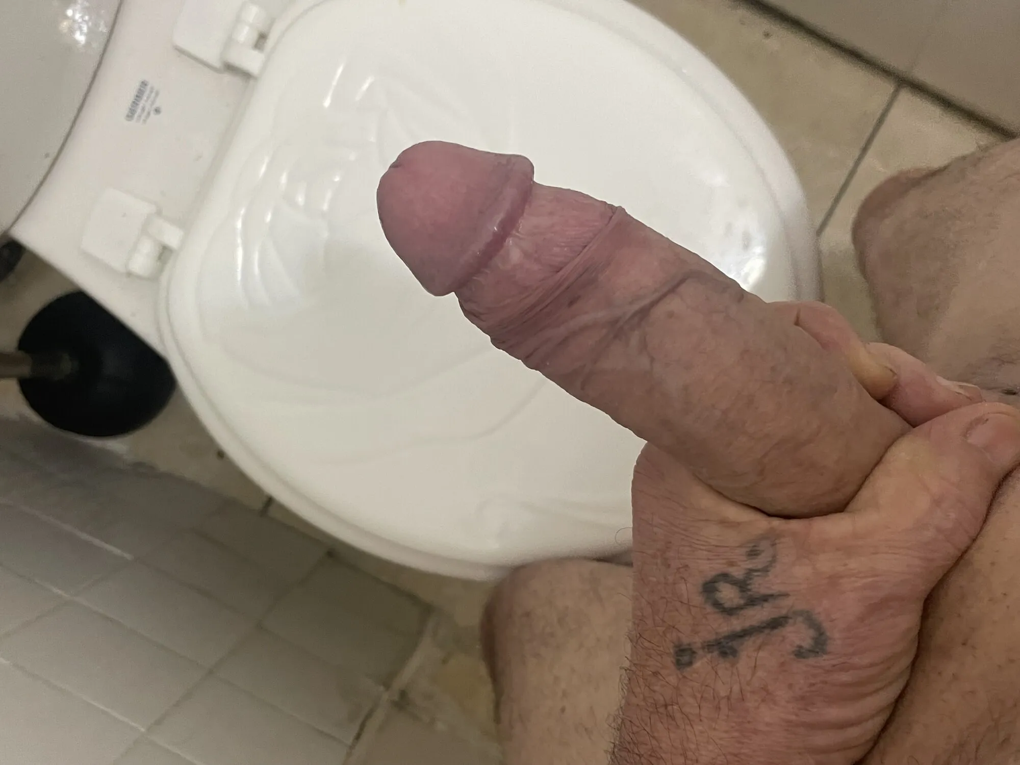 Big white cock 