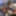 First gallery from 2020