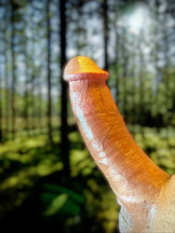 Hola