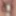 Mai 20th, 2024. Daily duty of the naked slave #5