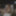 63+ GILF gets off for voyeurs GIFs #14